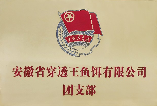 安徽省穿透王魚餌有限公司團(tuán)支部