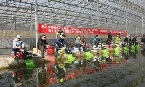 冬季黑坑大棚偷驢線(xiàn)組搭配推薦理由(春季黑坑偷驢技巧)