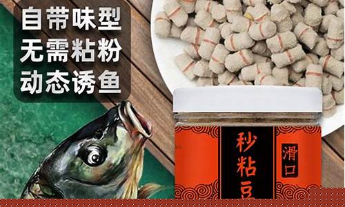黑坑偷驢釣鯉魚秒粘豆怎樣用最好的辦法(黑坑秒粘豆怎么掛鉤)