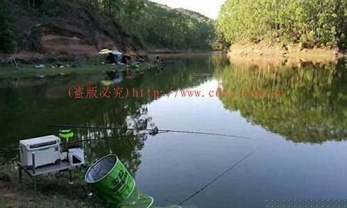 黑坑偷驢用5h還是6h的魚竿好用(黑坑偷驢用多長的竿比較好)